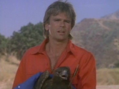 Angus MacGyver Trucs et Astuces - 2x03 Les Aigles - MacGyver et l'Aigle Royale blessé